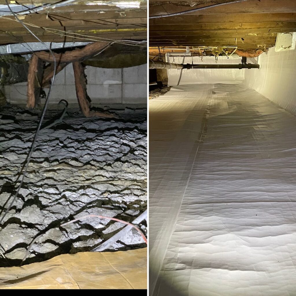 crawlspace encapsulation results 2 image block 10